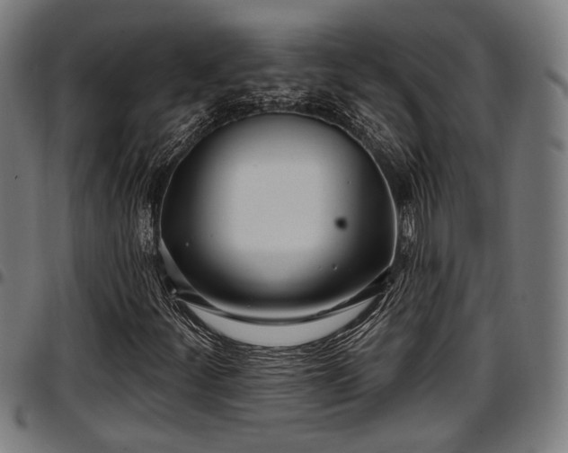 X0000097471252200802291302