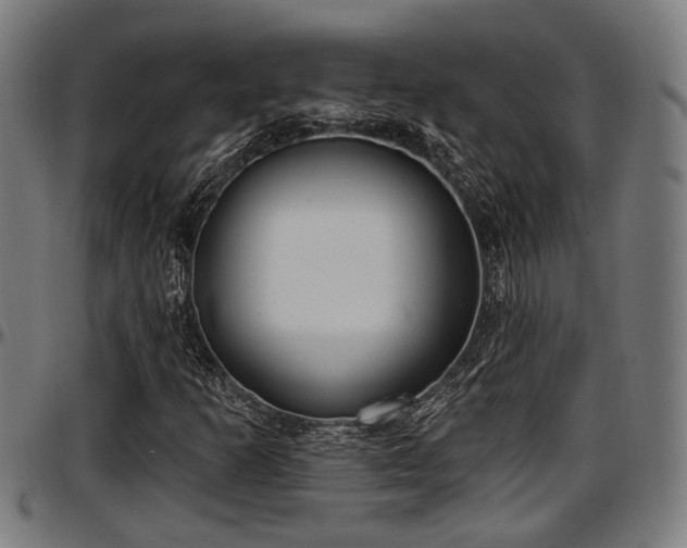 X0000097471253200802291302