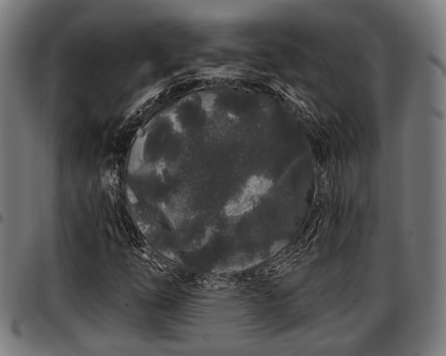 X0000097471254200802291302