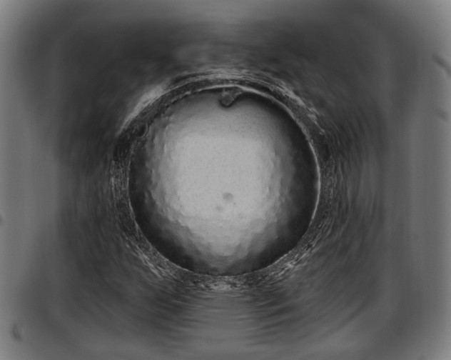 X0000097471255200802291302