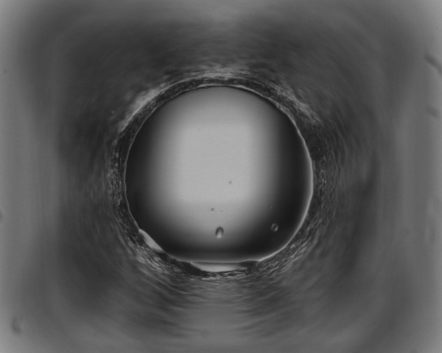 X0000097471256200802291302