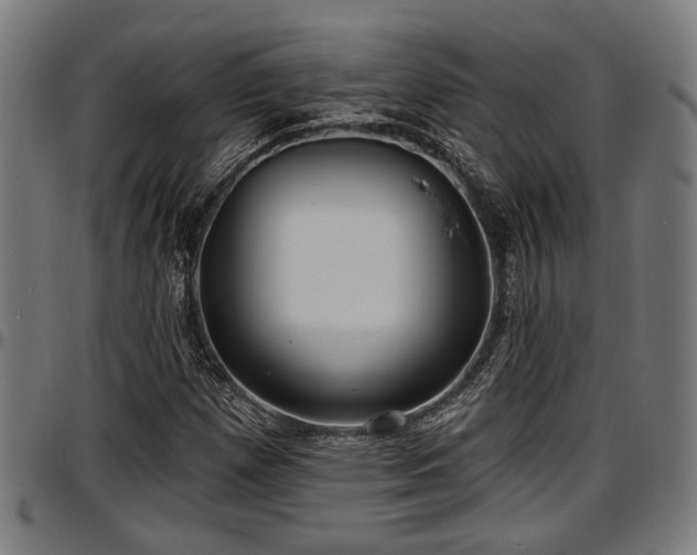 X0000097471257200802291302
