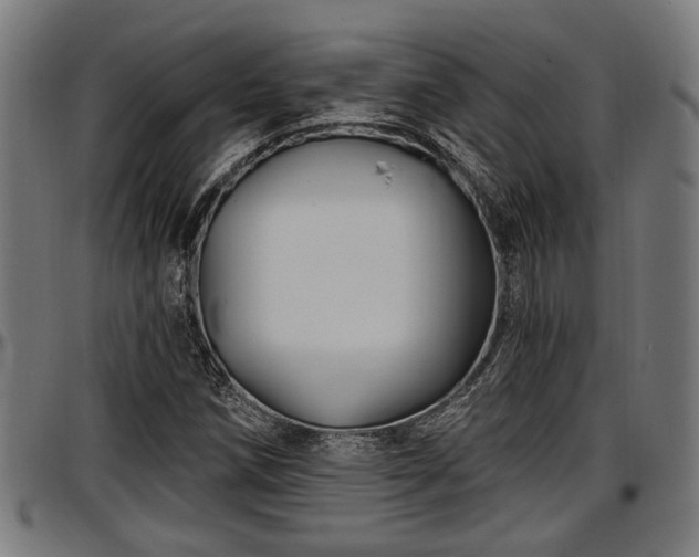 X0000097471258200802291302
