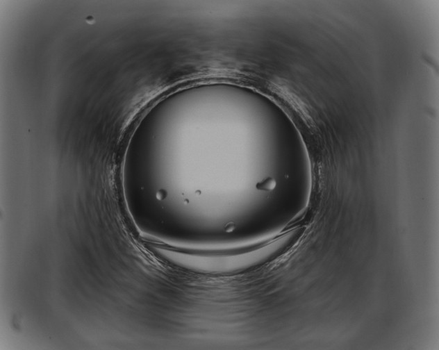 X0000097471260200802291302