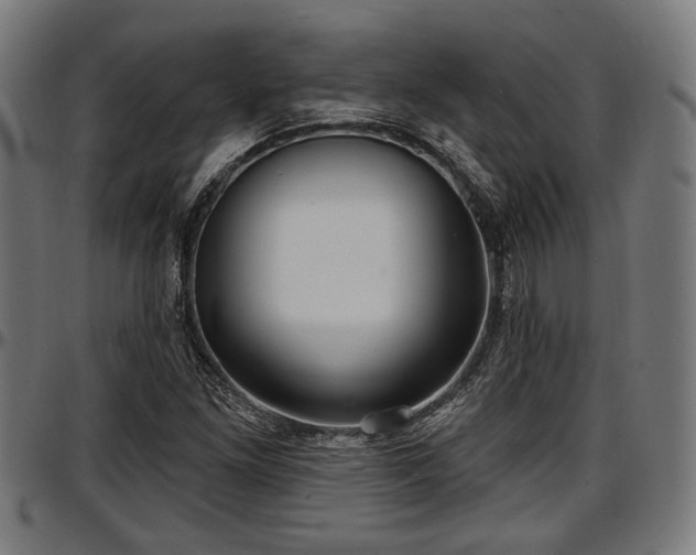X0000097471261200802291302
