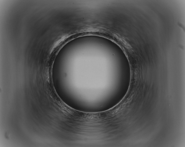 X0000097471262200802291302