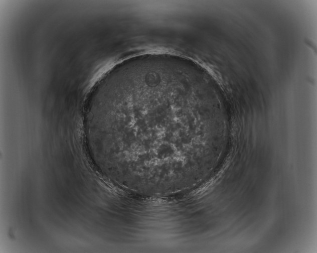 X0000097471263200802291302