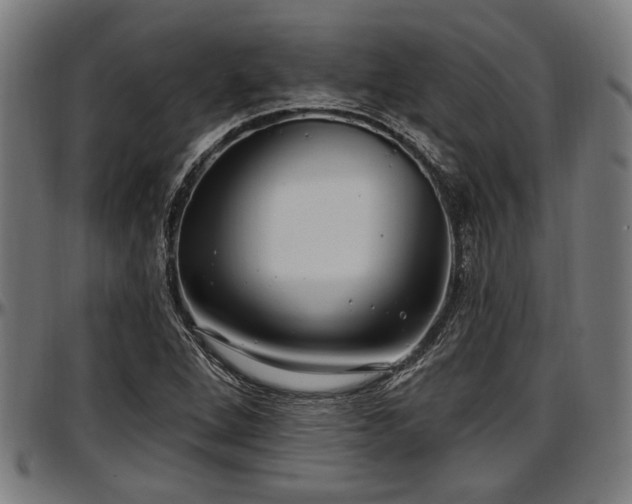 X0000097471264200802291302