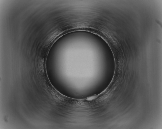 X0000097471265200802291302