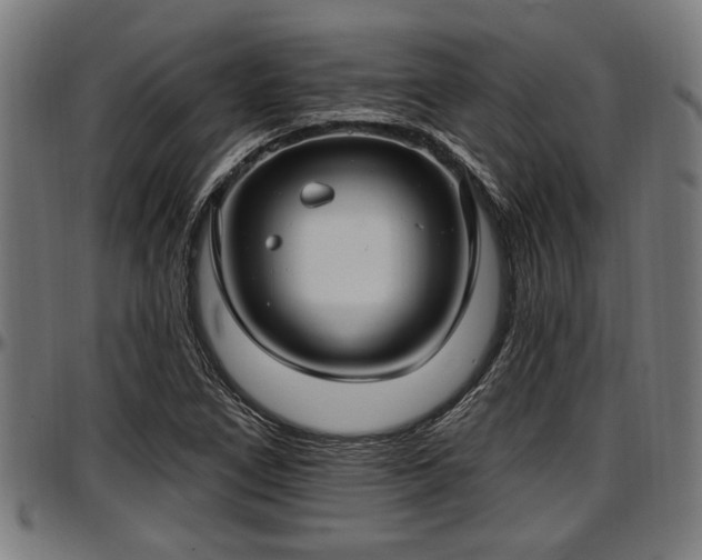 X0000097471266200802291302