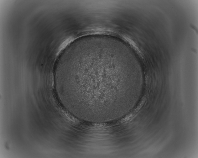 X0000097471267200802291302