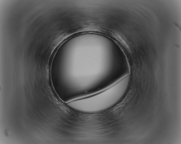 X0000097471268200802291302