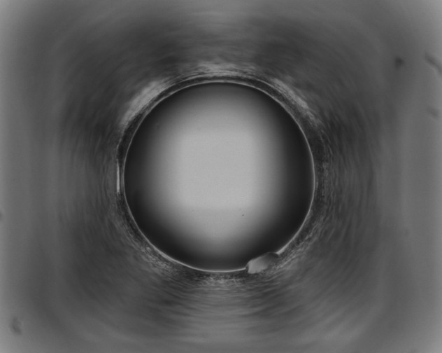X0000097471269200802291302