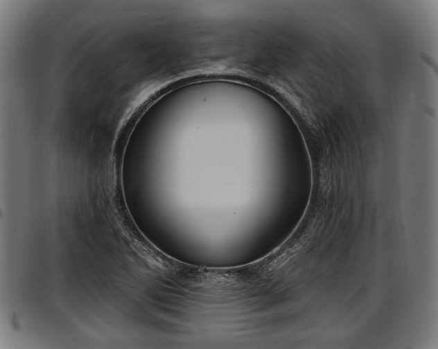X0000097471270200802291302