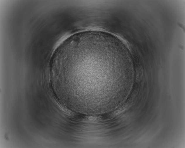 X0000097471271200802291302