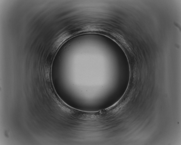 X0000097471273200802291302