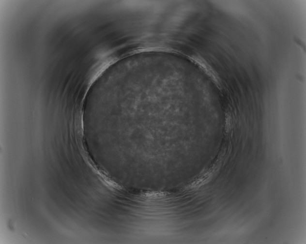 X0000097471274200802291302