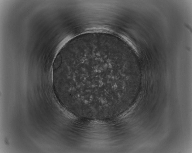 X0000097471275200802291302