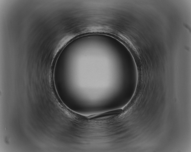 X0000097471277200802291302