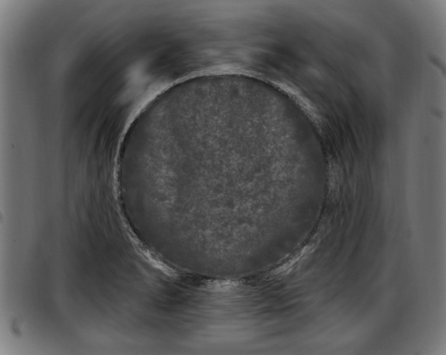 X0000097471278200802291302