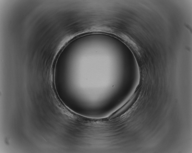 X0000097471280200802291302