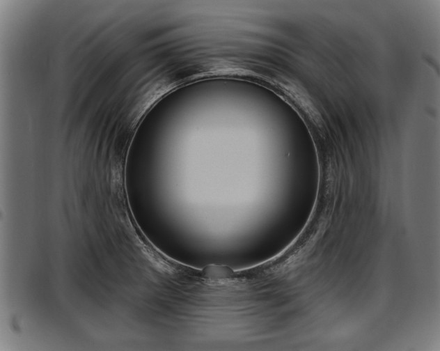 X0000097471281200802291302