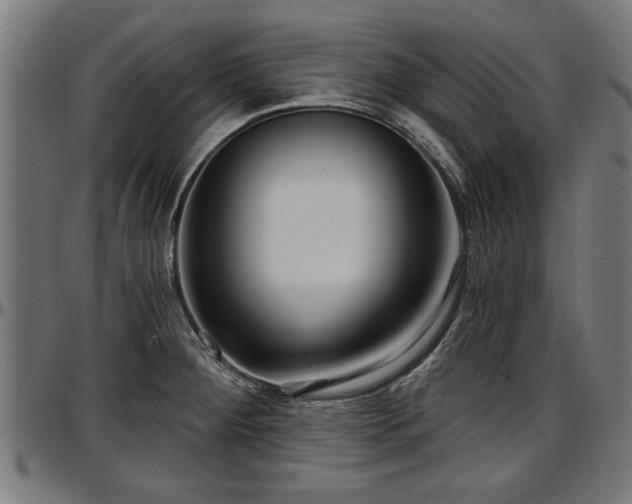 X0000097471284200802291301