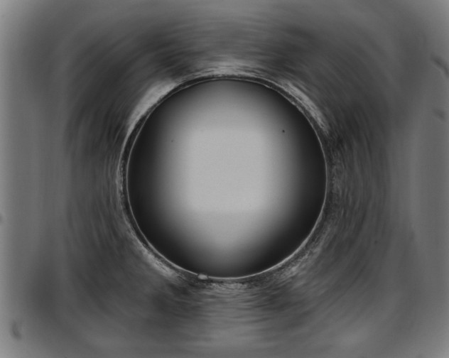 X0000097471285200802291301