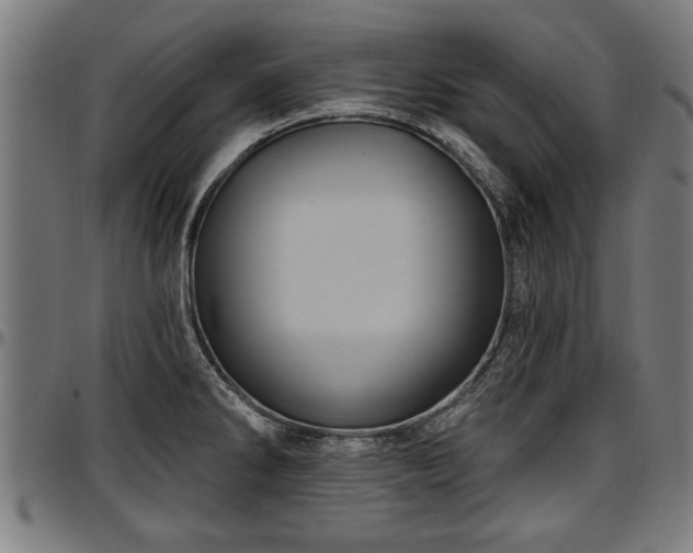X0000097471286200802291301