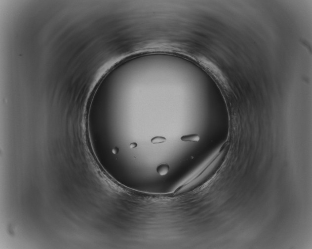 X0000097471288200802291301