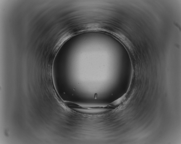 X0000097471289200802291301