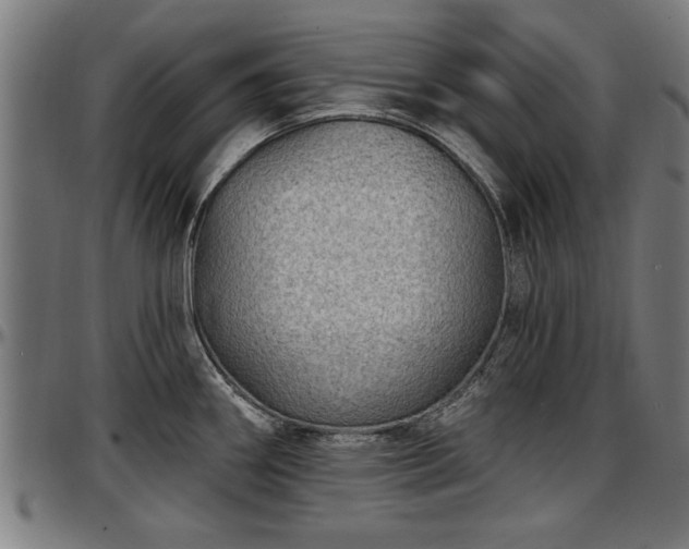 X0000097471290200802291301