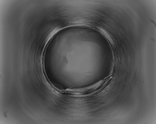 X0000097471291200802291301