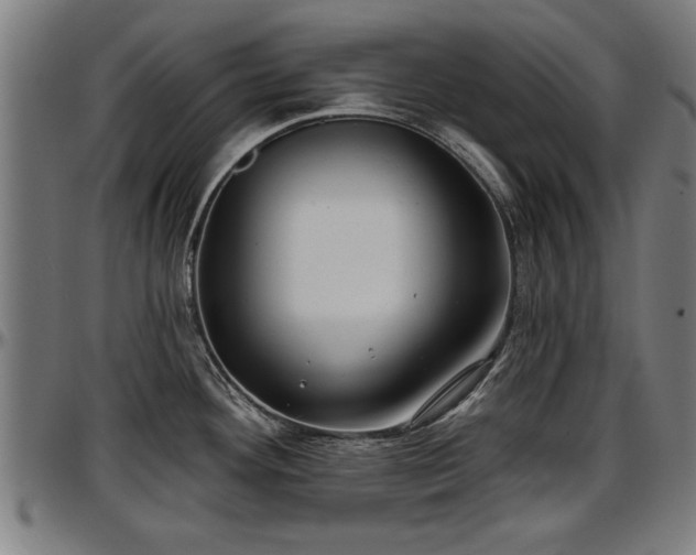 X0000097471292200802291301