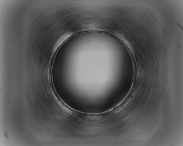 X0000097471293200802291301