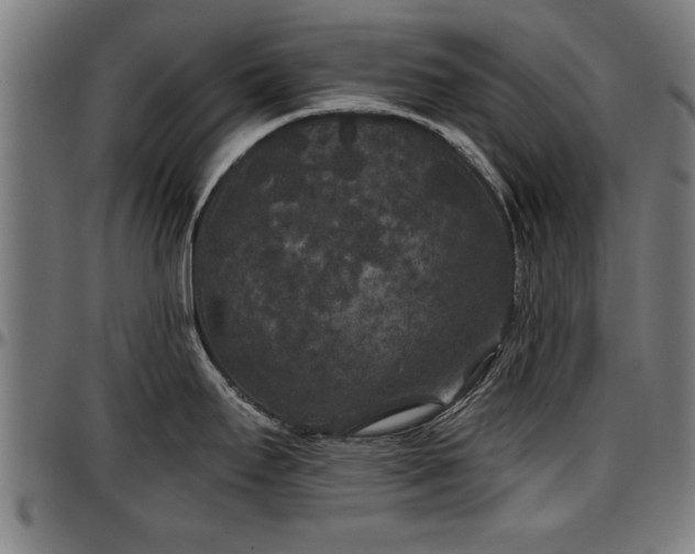 X0000097471295200802291301