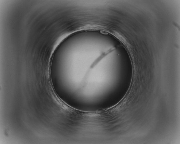 X0000097471296200802291301
