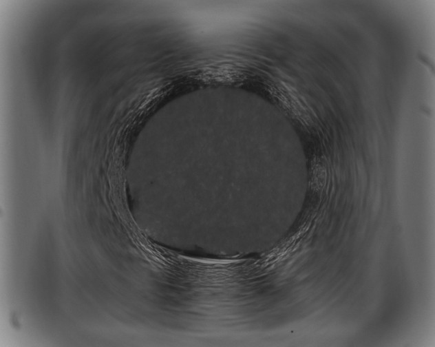 X0000097471297200802291301