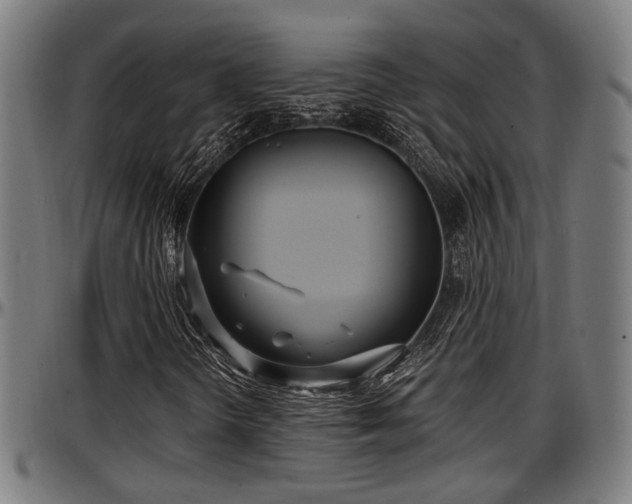 X0000097471298200802291301