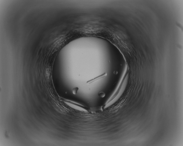 X0000097471300200802291301