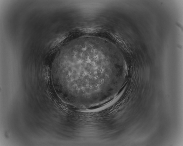 X0000097471301200802291301