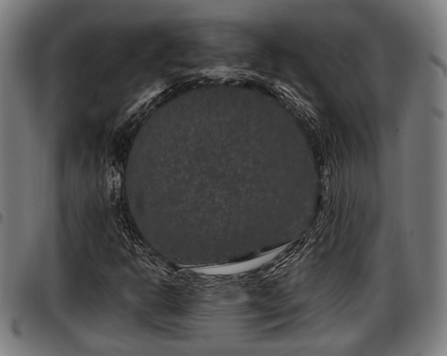 X0000097471302200802291301
