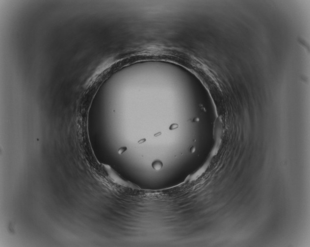 X0000097471304200802291301