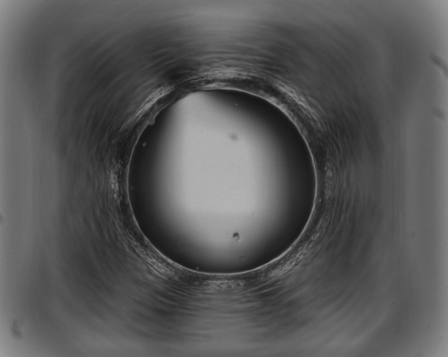 X0000097471305200802291301
