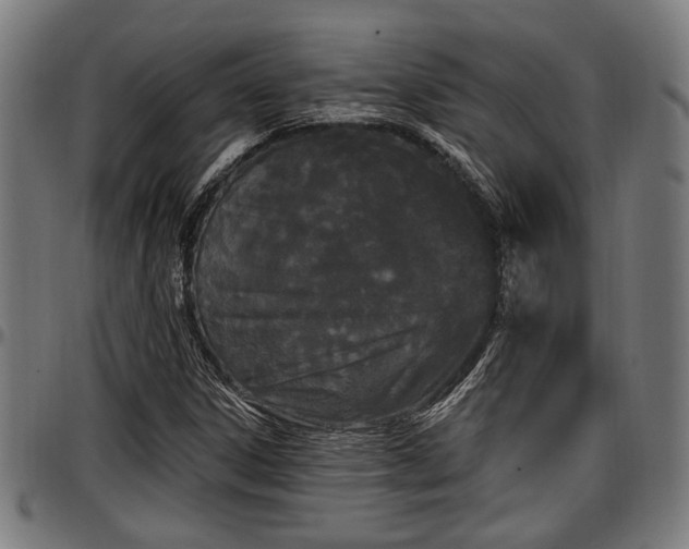 X0000097471306200802291301