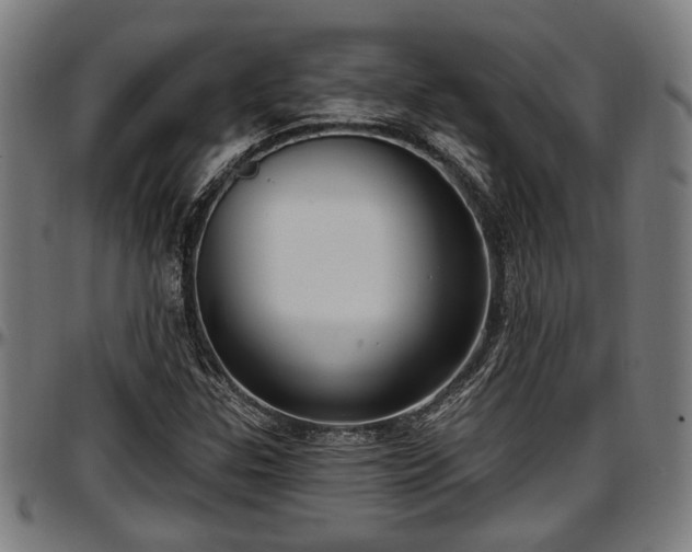 X0000097471307200802291301