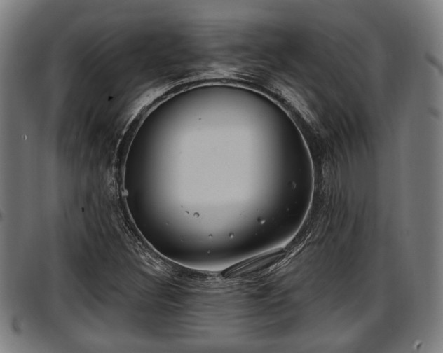 X0000097471308200802291301