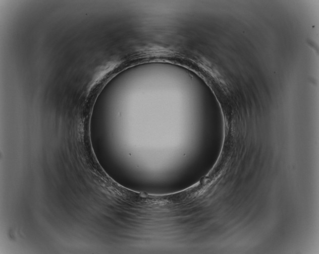 X0000097471309200802291301