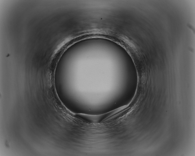 X0000097471310200802291301