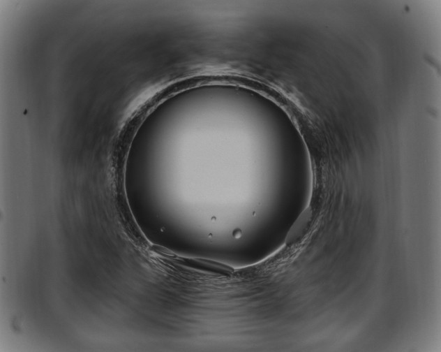 X0000097471311200802291301